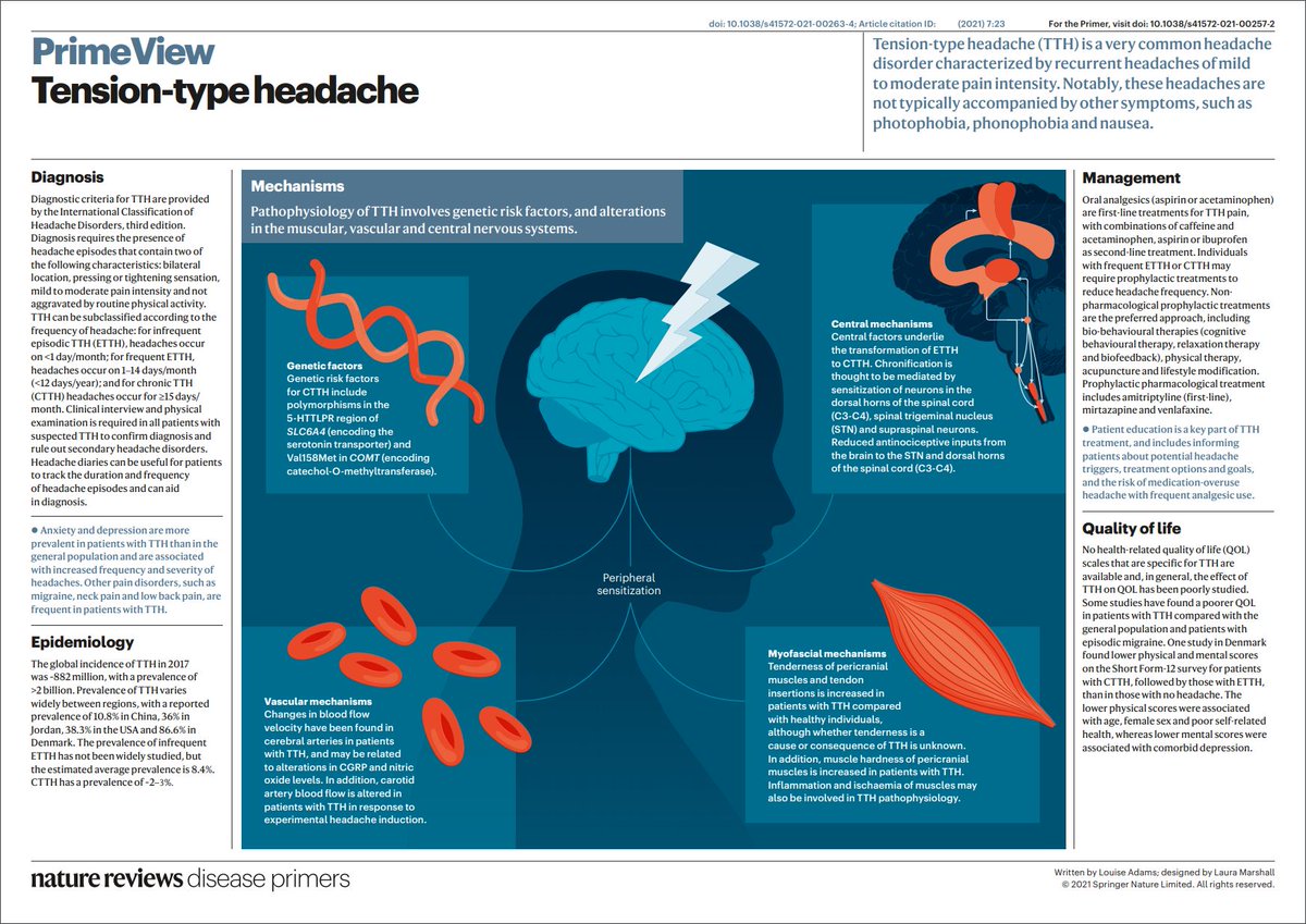 Position number 6: we find our PrimeView on Tension-type #headache.

#BestOf2021
go.nature.com/3feRWtw