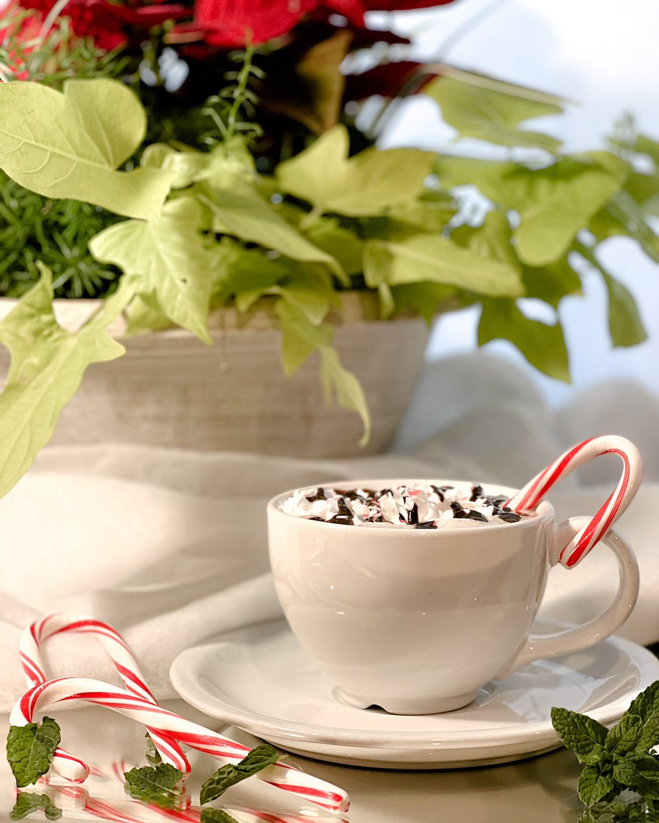 J & B Coffee tweet media