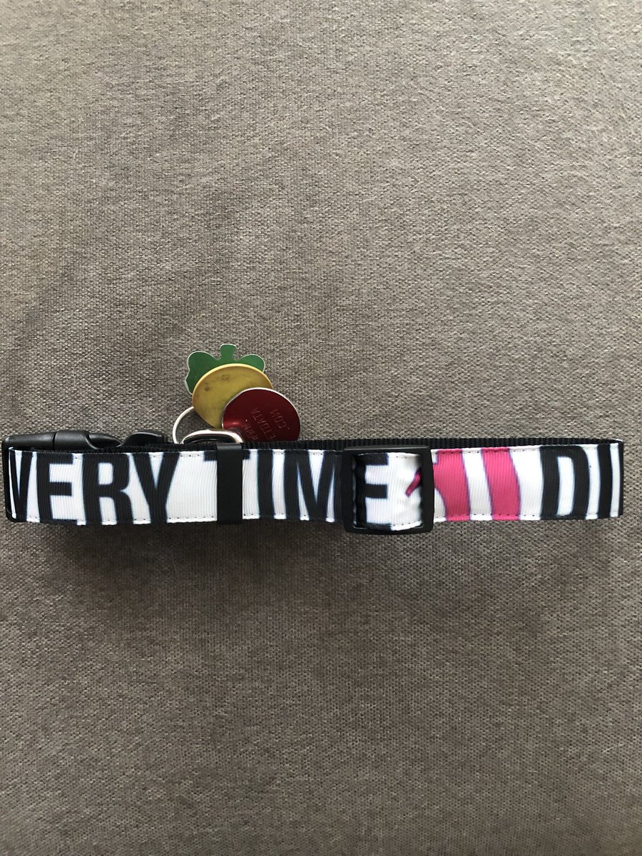 chorgs17's tweet photo. Everyone gets merch for Christmas. Even Kyla. #TIDTHESEASON @everytimeidie @deathoftheparty @JordanETID @MitchBHavin @andycomplains https://t.co/WRJvcjsW3l