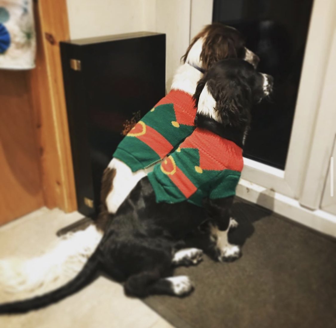 KilburnStreet's tweet photo. 🎄🎄🎄CHRISTMAS EVE - EXTENDED HOURS - 6.00-8.00pm 🎄🎄🎄
We will be sharing hot, nutritious meals and Christmas goodies* this Friday at #Kilburn Square between 6.00-8.00pm. Sharing with all who need in our Kilburn #community. 

(*Dogs in fancy dress not guaranteed) https://t.co/hHCTymGa6L