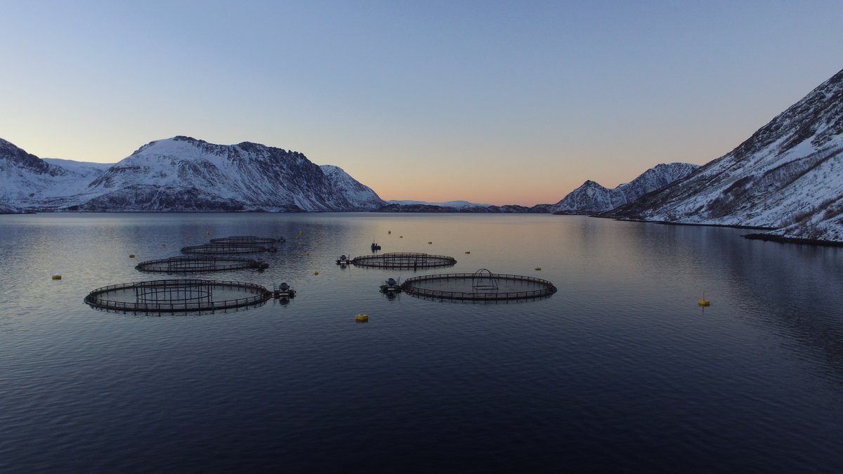 It’s been over a month since #COP26, and we’re still reflecting on how, when done responsibly, #aquaculture can play a key role in reducing the carbon footprint of our diets. Read @thefishsite’s write up of our event here: https://t.co/7BQJifd0rK
@GSI_salmon #climateaction https://t.co/nhUCQmnJBN