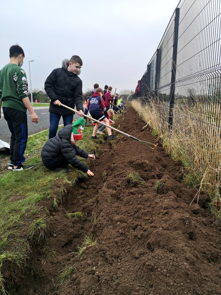 scoil_an's tweet photo. 2,500 native Hawthorn planted around the perimeter of our school this week. This will provide shelter in years to come and also help the biodiversity in our school.
Well done to the garden committee and all of 5th and 6th class who worked together to get this done 🌳🌳🌳 https://t.co/hPAsY6F2Ww