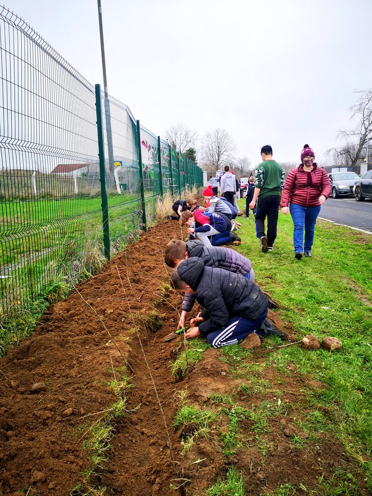 scoil_an's tweet photo. 2,500 native Hawthorn planted around the perimeter of our school this week. This will provide shelter in years to come and also help the biodiversity in our school.
Well done to the garden committee and all of 5th and 6th class who worked together to get this done 🌳🌳🌳 https://t.co/hPAsY6F2Ww