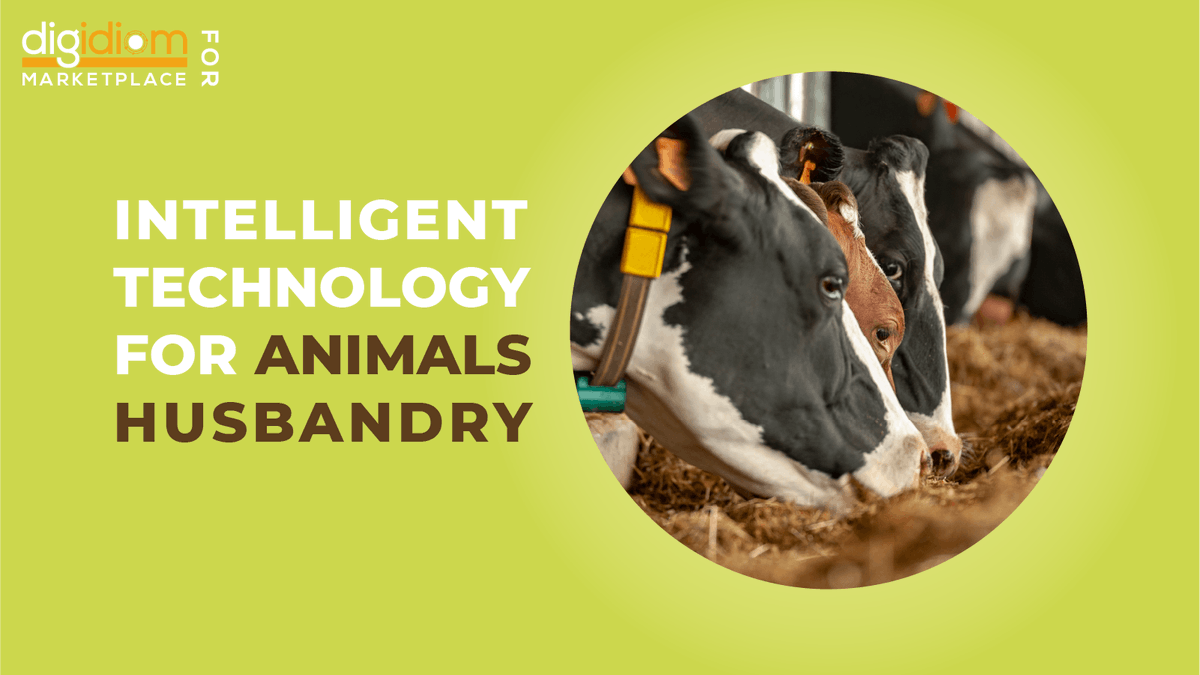 EUTECChamber's tweet image. A warm welcome to @digidiom ——the newest advocate of European Technology Chamber (eutec.org)! Digidiom is a European SME with headquarters in Germany. It offers expertise and products in the field of digital transformation acceleration.