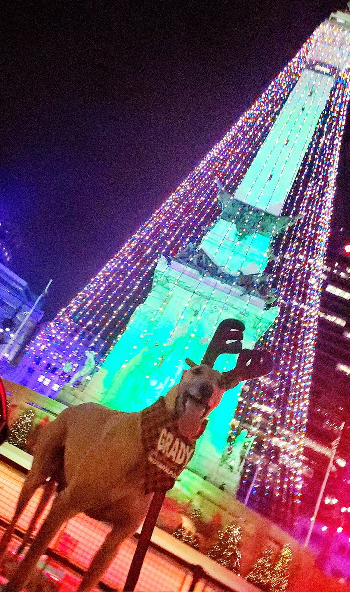 May or may not have scared a runner who thought I was legitimately a deer. 🦌 Sorry, bud!