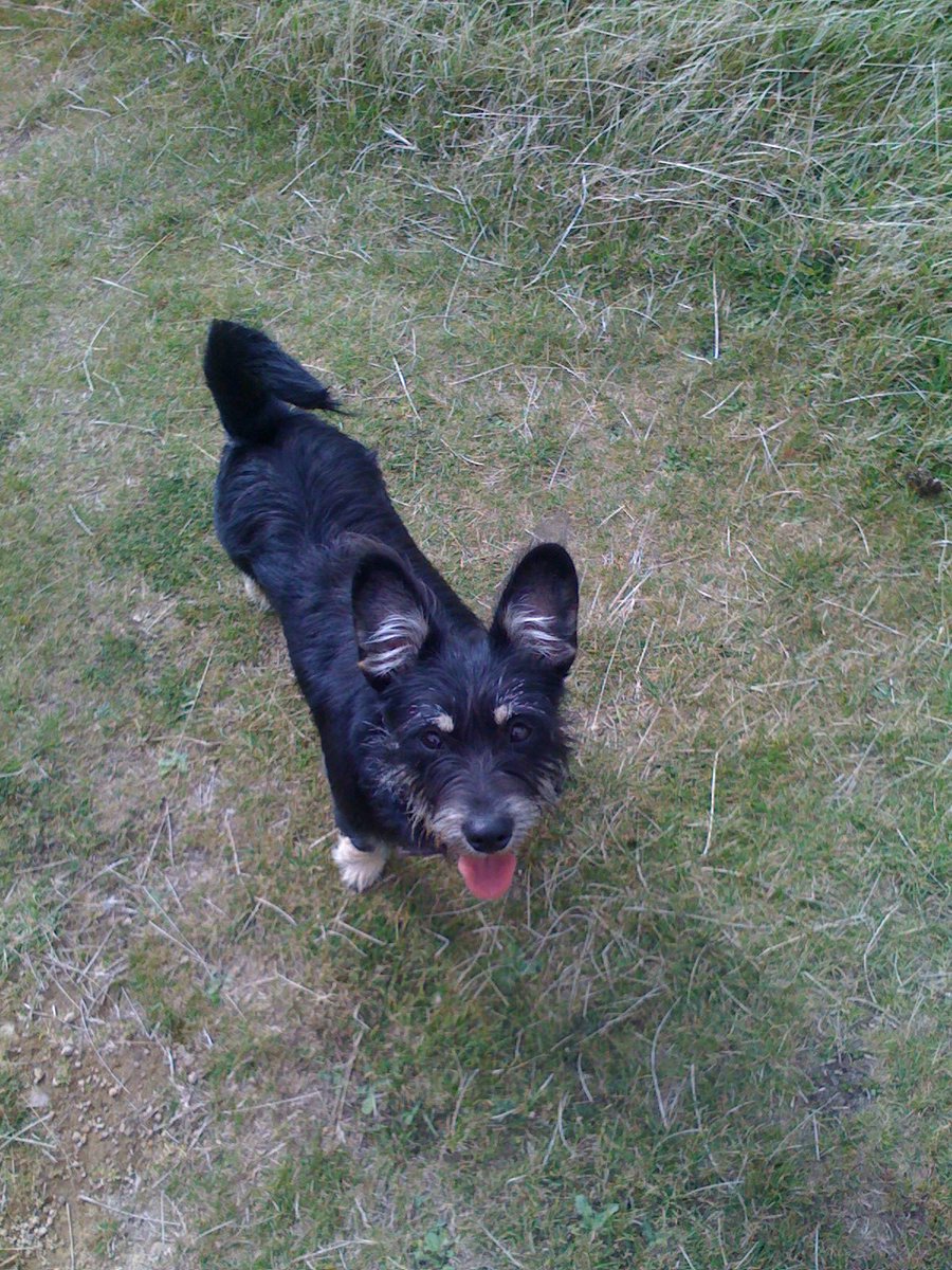 Laurie Fleming tweet media