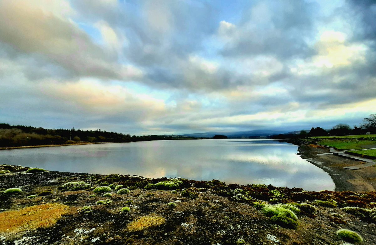 Ken Murphy (@fotod2h) on Twitter photo 