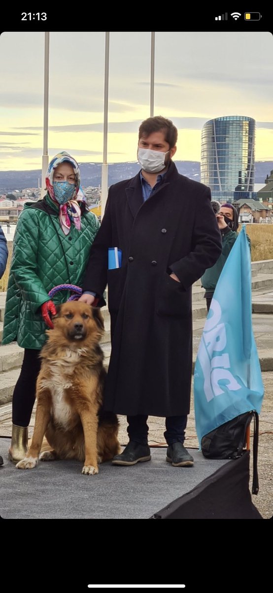 No olvidemos cuando Brownie acompañó a Boric al lanzamiento de campaña en la primaria. Se veía demasiado distinguido y presidencial.