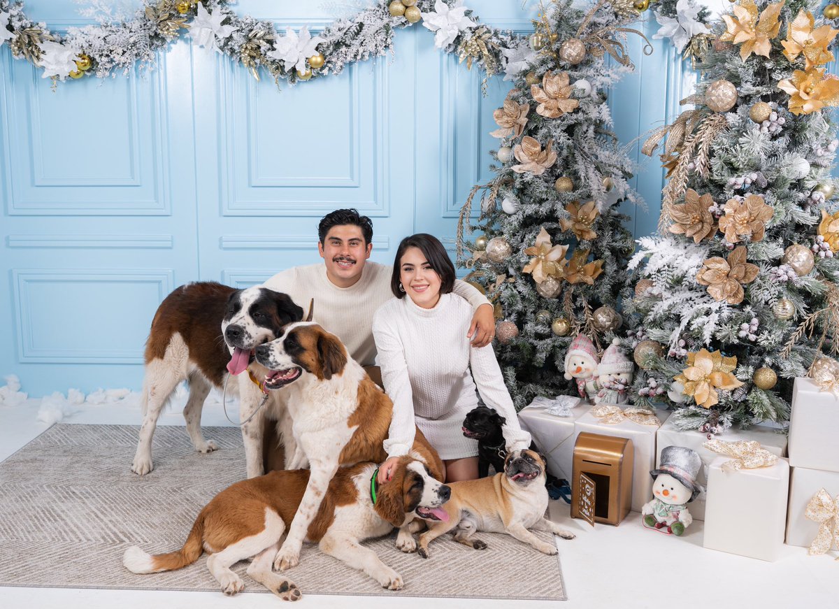 karlamariagarza's tweet photo. Fotos navideñas con todos nuestros perros 🎄🎅🏼 https://t.co/Os9OXEWCcy