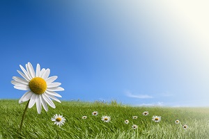 Balancecreates tweet picture
