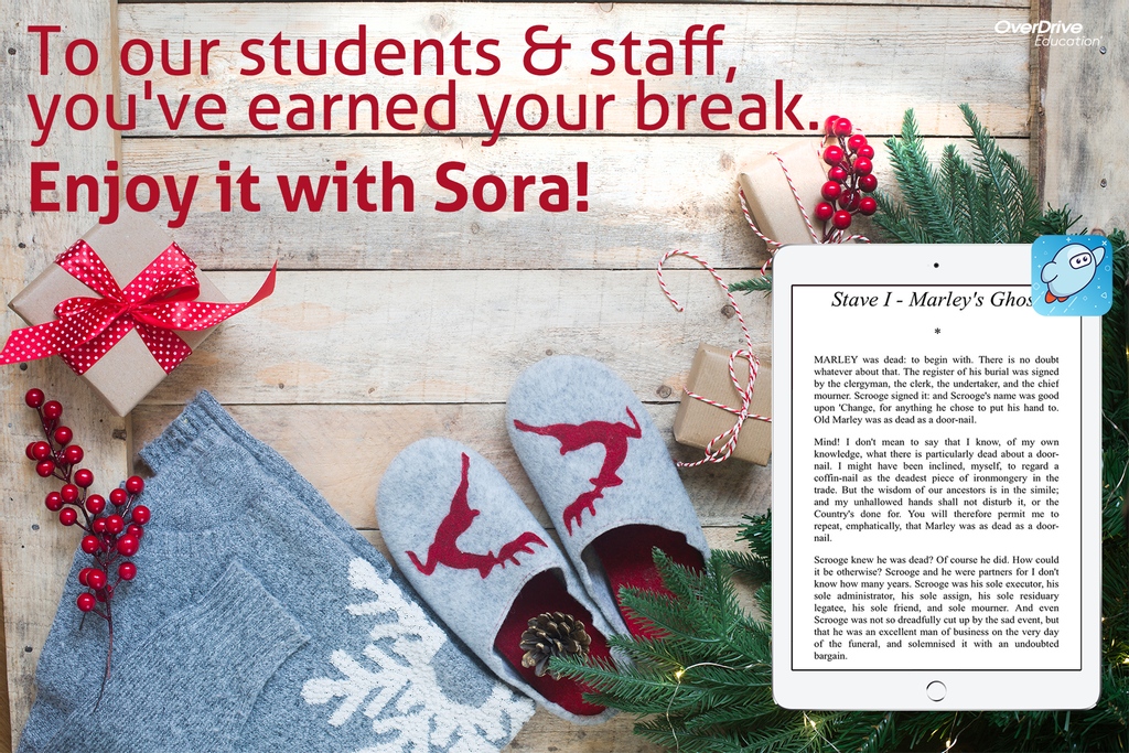 We hope that everyone has a great winter break full of cozy reads!