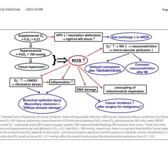 ARUMED1's tweet photo. #Oxígeno amigo y enemigo ‼️‼️
La hiperoxemia genera Especies Reactivas de Oxígeno (ROS)
🫀vasoconstricción coronaria y 🧠
⬆️Estrés oxidativo en SDRA
⬆️inflamación
⬆️generación de atelectasia a
….
https://t.co/zq7Uda0C27
#arumed https://t.co/2DXtf57CWx