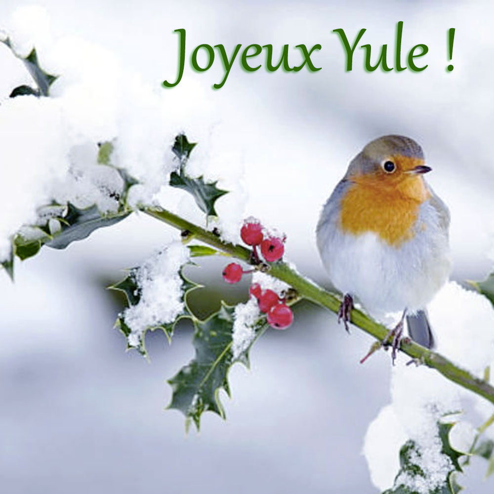 jardinsdavalon's tweet photo. Très bonne fête de Yule 🙂

#solstice #solsticeblessings #yule #hiver https://t.co/URgEoiDI3H