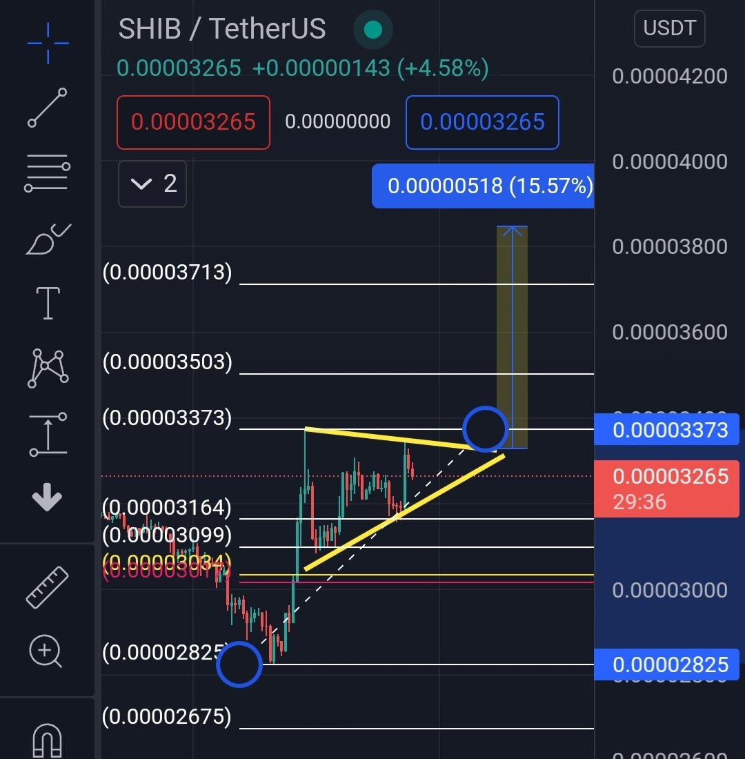 elethereum's tweet photo. CHART: It looks like $SHIB is forming a Bullish Flag.

Targets are up to 0.000038 https://t.co/KAdKnJe9aa