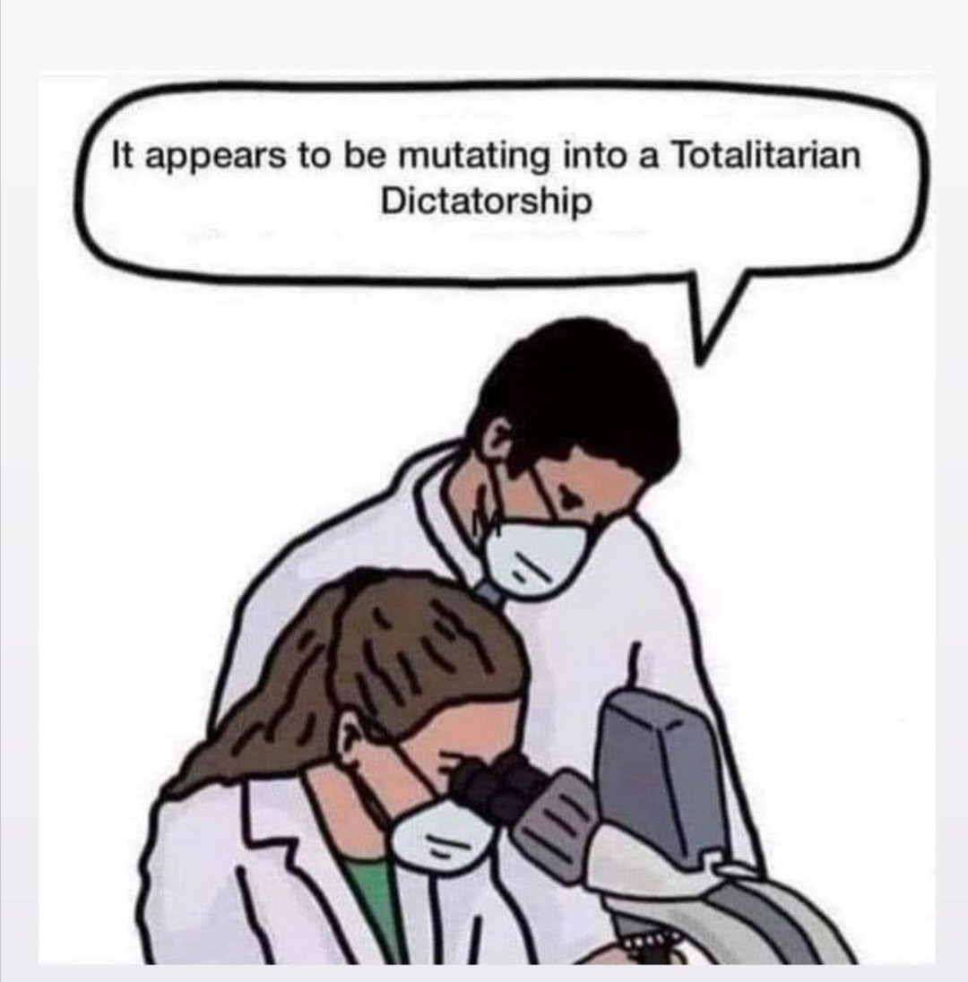 ~Bitcoinwitch~ tweet media