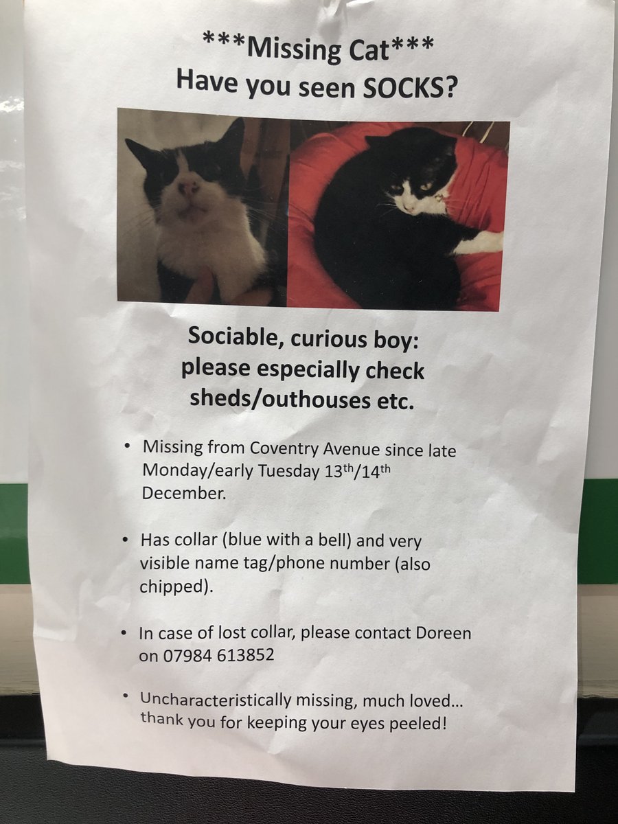 Missing SOCKS #Stockport #Cheadle Area please RT #Manchester #ambassador cats we need your help let’s get the message out there 🐾🐾