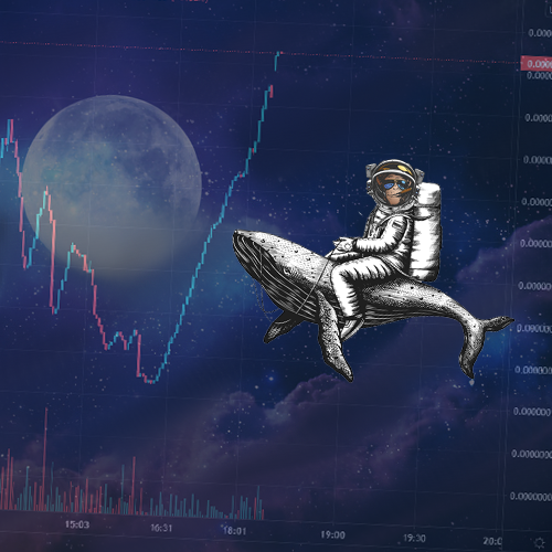 CCosmicape's tweet photo. We are still moving forward! Day 1 after stealth we have almost 200 holders already! Stable and health grow is here! #SorryElon #BSC #BSCGem #BSCGems #NFT  @1goonrich https://t.co/VPM3vsmjfP