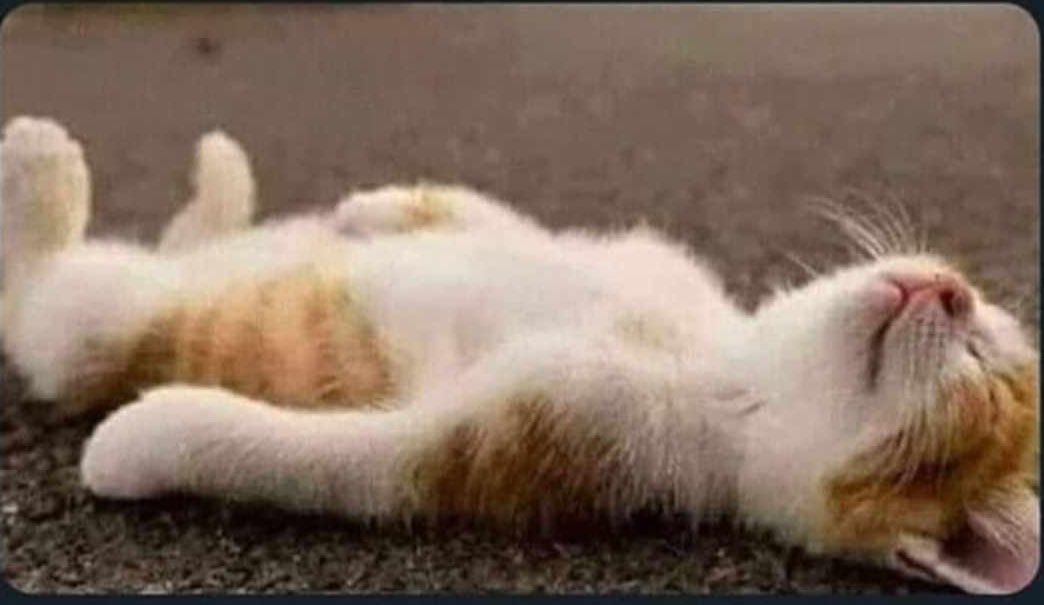 AkhtarMani's tweet photo. When you ask your sister for any work..
Sister : https://t.co/lQOKYHIyT0