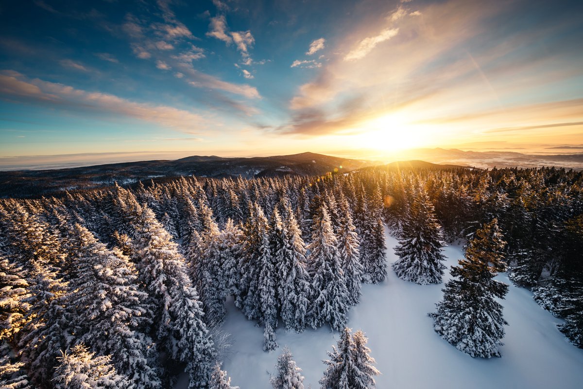 Happy #WinterSoltice! We hope you fill the shortest day of the year with things you love most ❄🌲