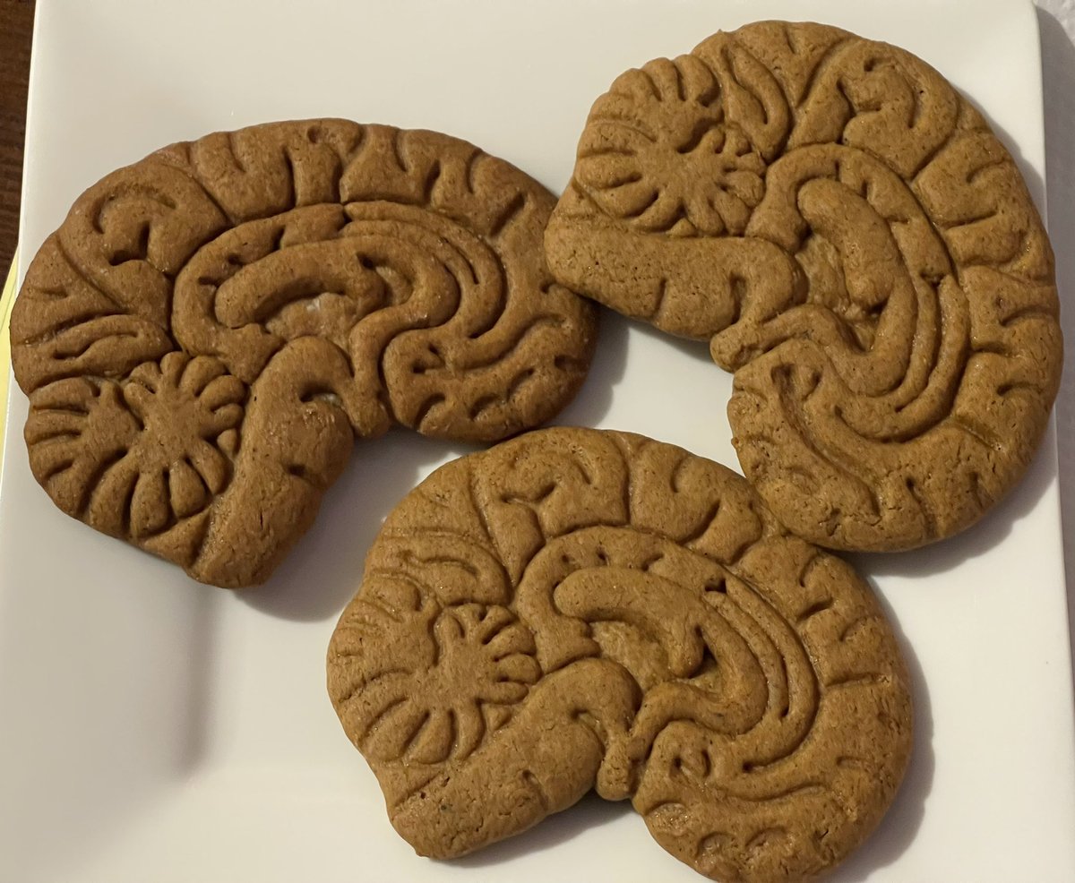 It is that time of year again!!! #Gingerbread #brains #HappyHolidays #neuroscience