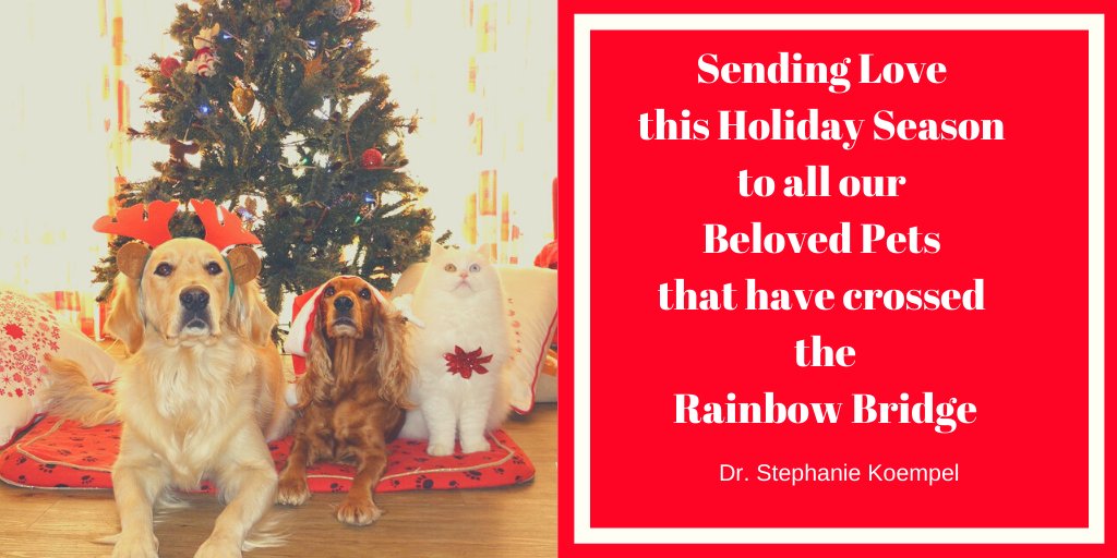 Dr Stephanie Koempel tweet media