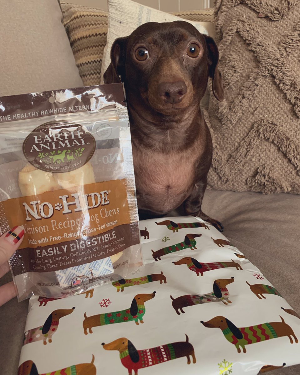 Oh my dog, my Christmas present from <a href="/kalindadoxie/">🐾Lena the Dachshund & Brofur Ace Doxie🐾</a> made it!! I can’t wait to open it!!!! Thank you 💗💗💗