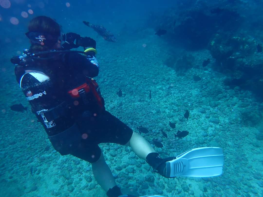 Laura Shearer tweet media