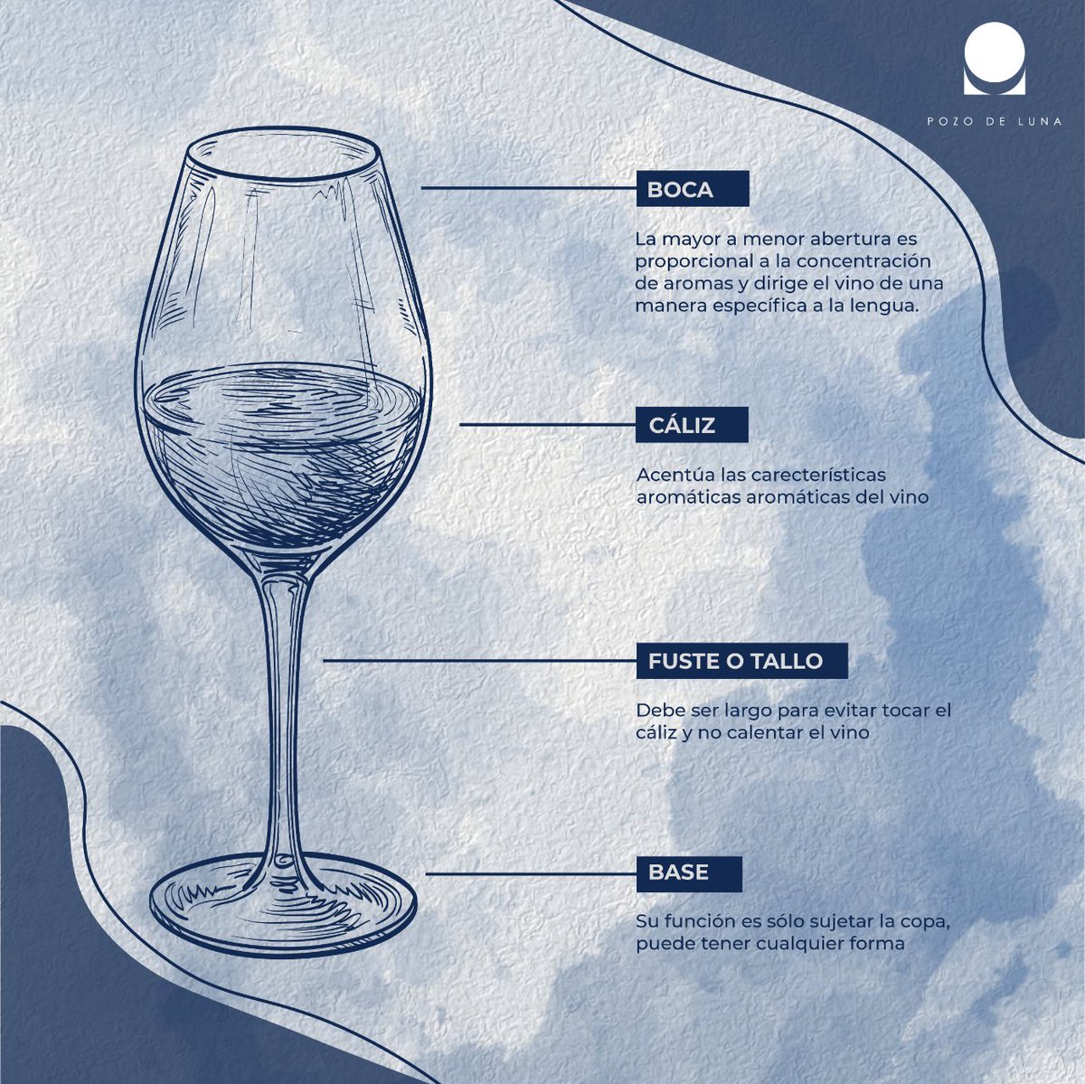 Partes de una copa de vino.