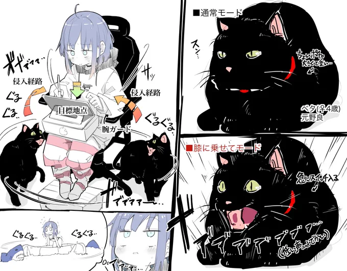 VS膝に乗りたい猫 