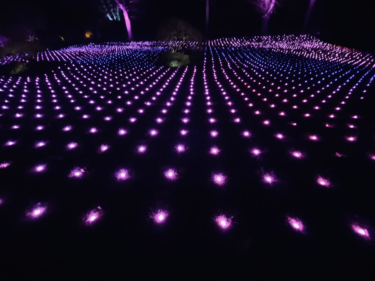 acoustiguideUK's tweet photo. Definitely an experience to remember. #WisleyGlow was truly a magical evening. Thank you @RHSWisley https://t.co/JR3uRupB4w