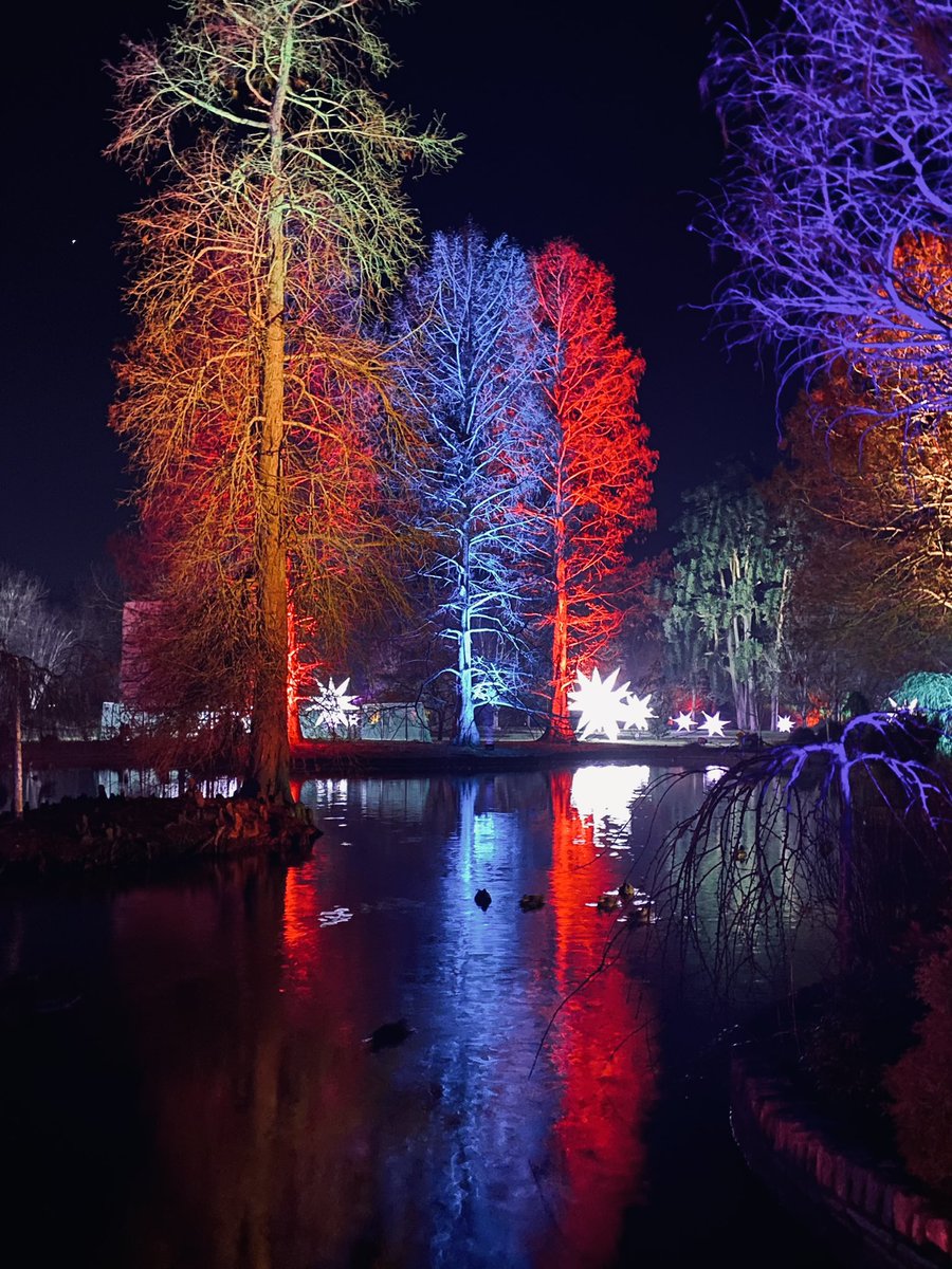 acoustiguideUK's tweet photo. Definitely an experience to remember. #WisleyGlow was truly a magical evening. Thank you @RHSWisley https://t.co/JR3uRupB4w