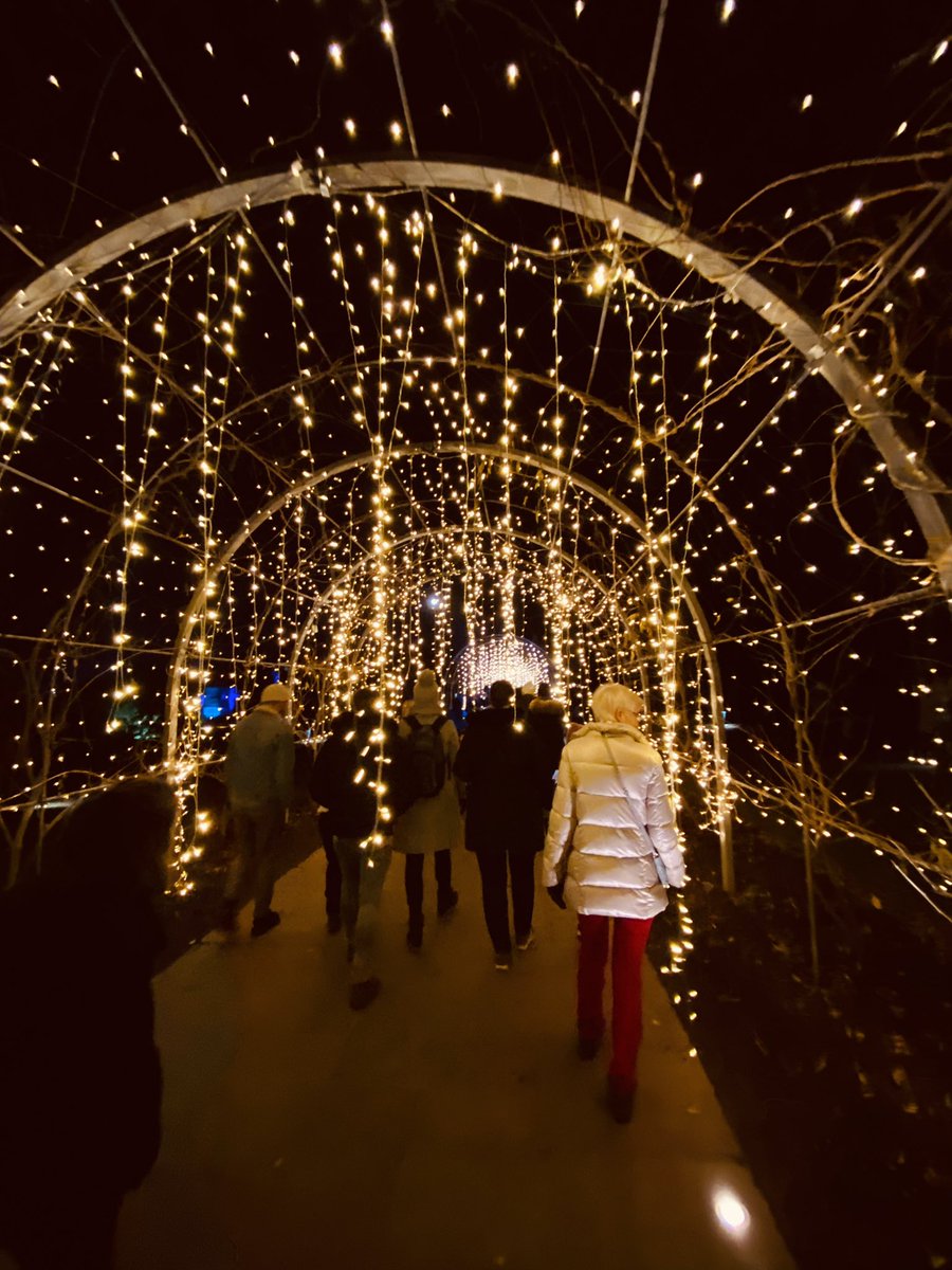 acoustiguideUK's tweet photo. Definitely an experience to remember. #WisleyGlow was truly a magical evening. Thank you @RHSWisley https://t.co/JR3uRupB4w
