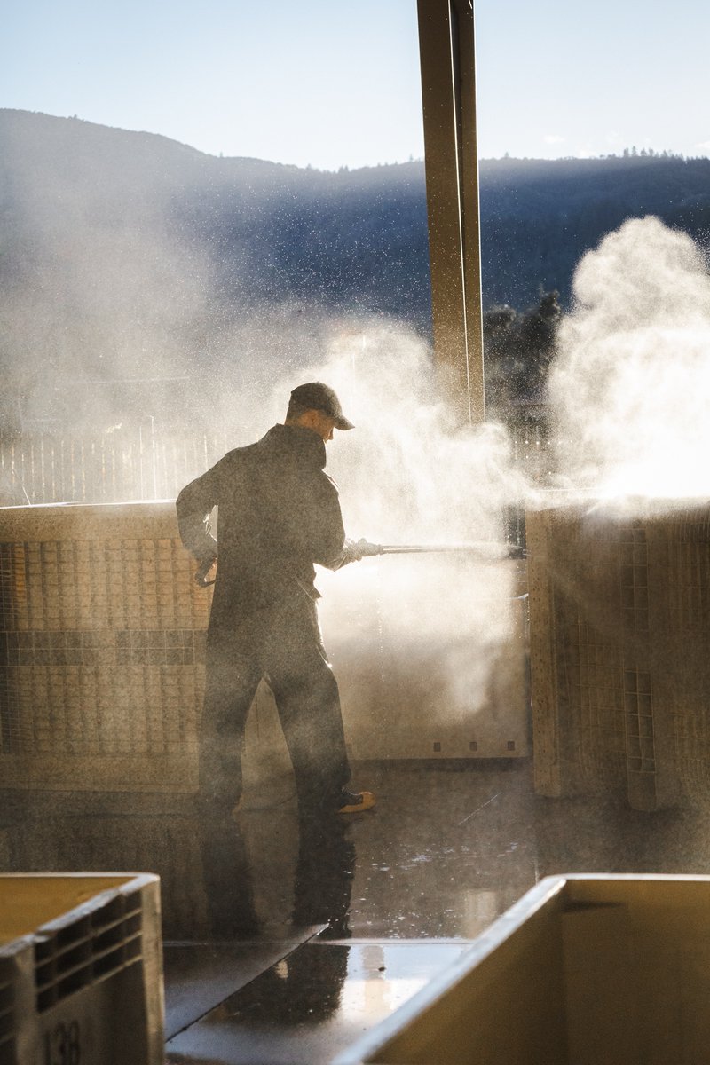 Behind the scenes of winemaking: Hosing down the grape bins.