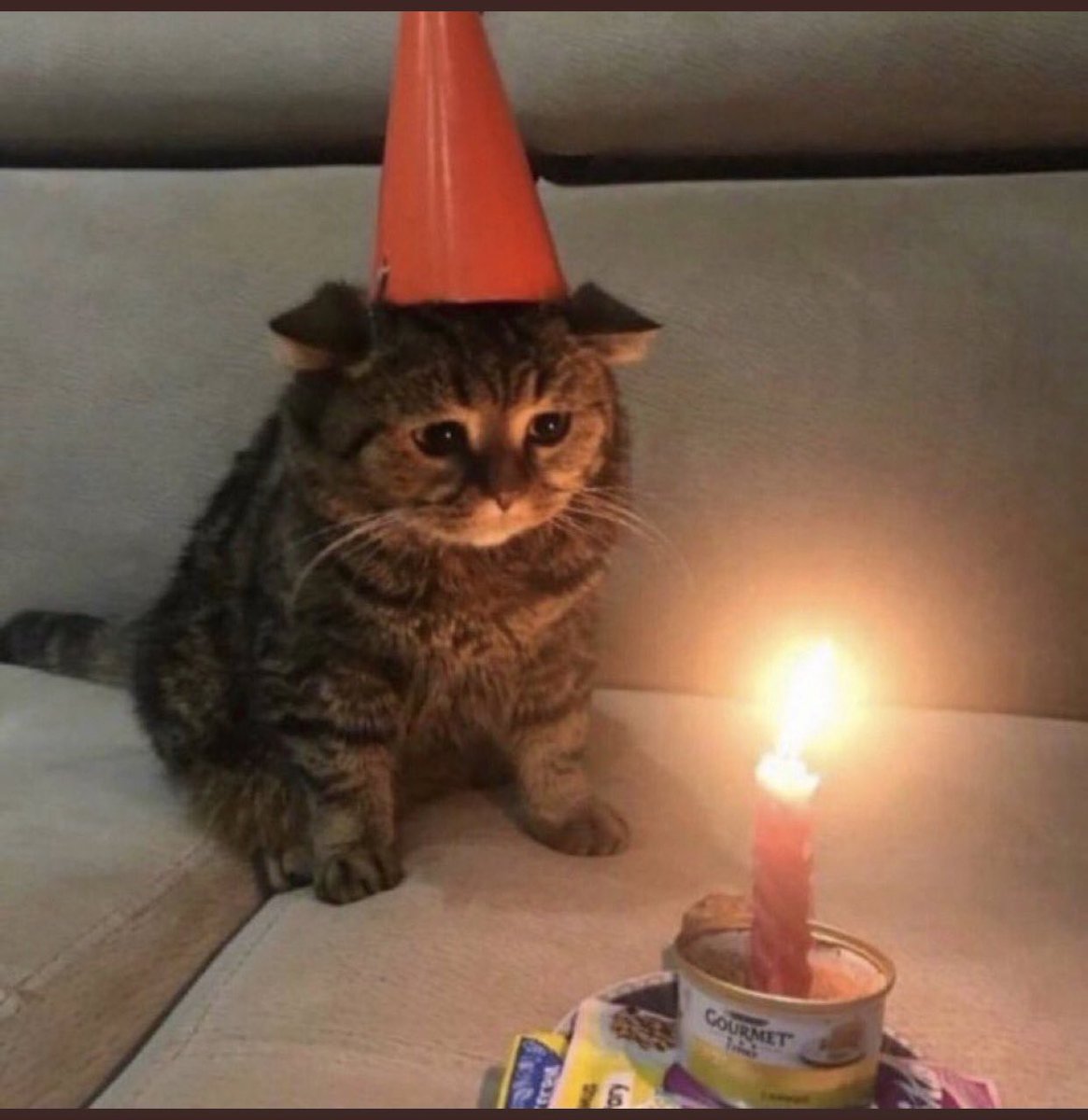 ThatAzlz's tweet photo. It’s my birthday 🥳 #December22th https://t.co/HsPO45GMVO