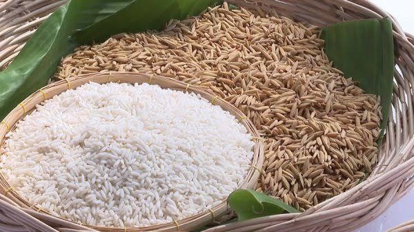 Thailand wins award for world’s best rice. ow.ly/2CJh50HgULP
