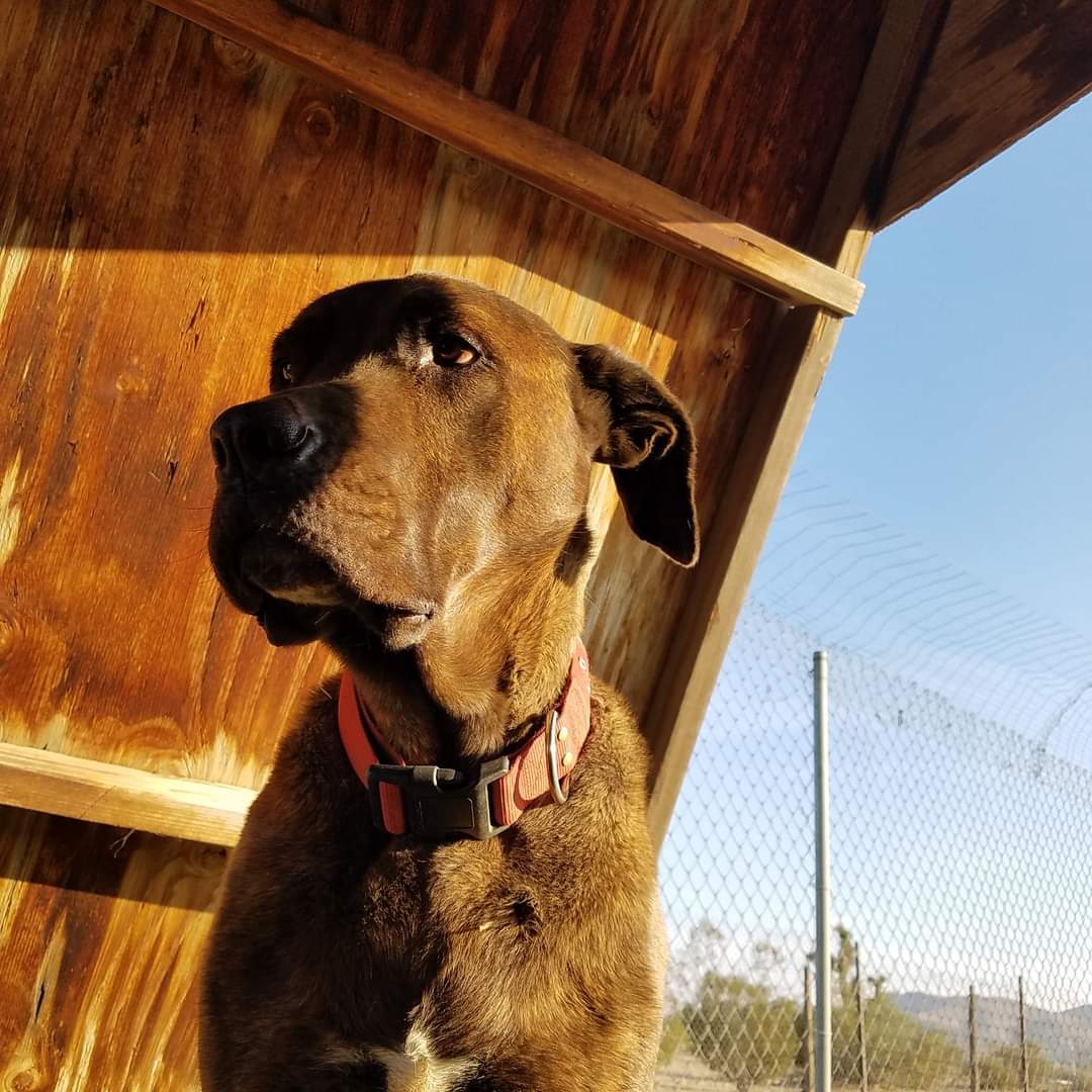 dragona333's tweet photo. Being an army myself and seeing what has been achieved and what can be done, I thought maybe even just a few people could retweet and help us out. My roommate lost almost all her clothes, I lost half, we lost personal care items, all the food we just bought, and I lost my Boy. https://t.co/e12d8YaRsB