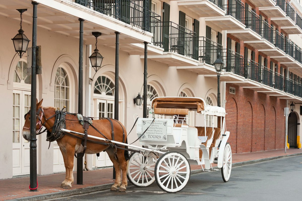 REMAXNO's tweet photo. NEW ON MARKET TODAY METRO NEW ORLEANS https://t.co/QHgt363rcJ
The Right Agent Every Step of the Way
🖱Thinking of selling your home? https://t.co/PIH9wPINf5
#remax #RemaxNOProperties #WeAreREMAX #neworleans #realestate #remaxnola https://t.co/S3kIafKwqC