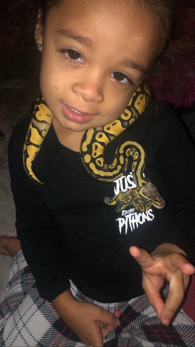 JExoticpythons's tweet image. My biggest helper #jusjoexoticpython #oldestdaughter