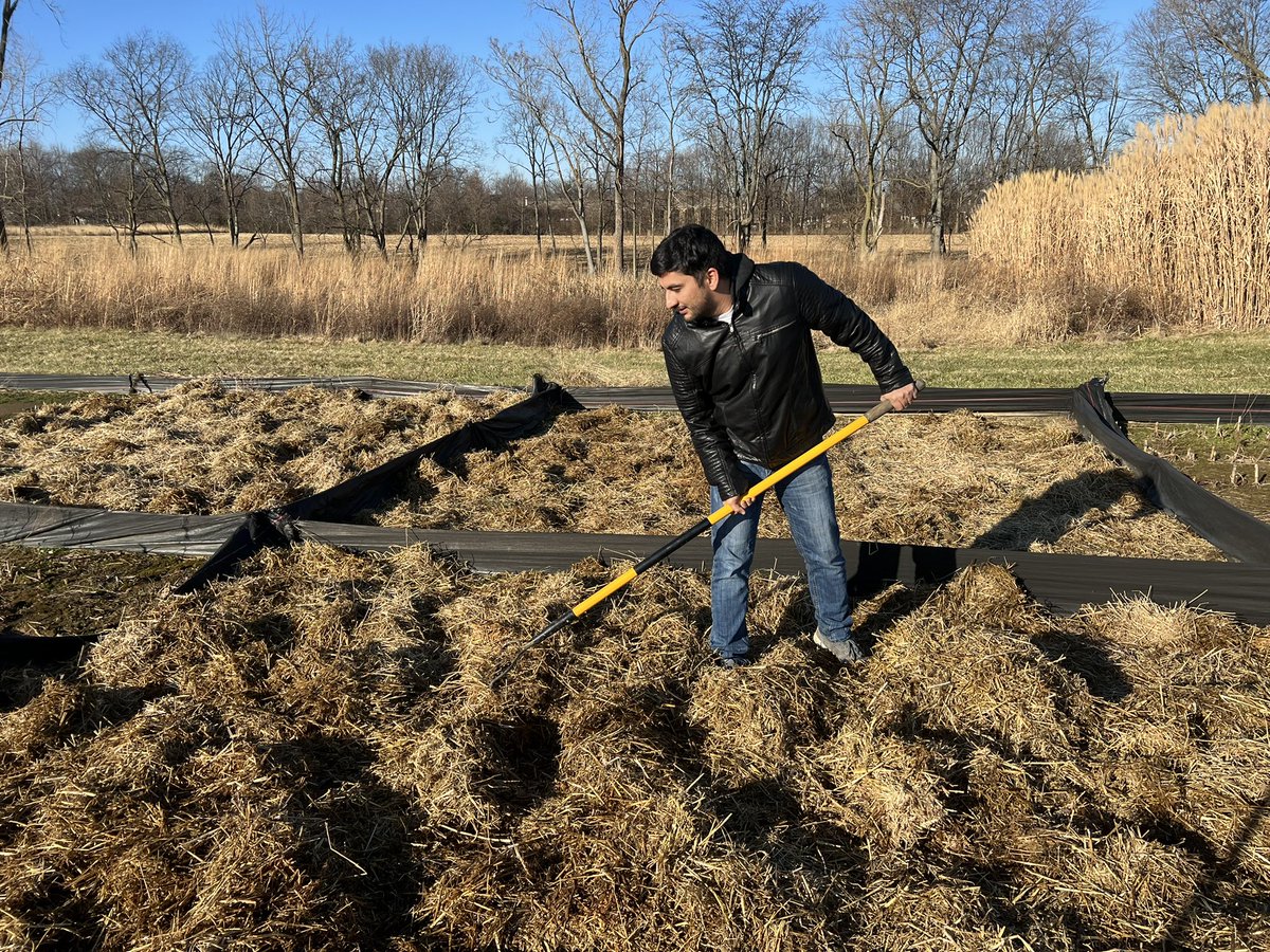 Maintaining Longterm Mulching Plots for Soil Carbon Study. <a href="/cmascenter/">Lal Carbon Center</a> #SoilCarbon