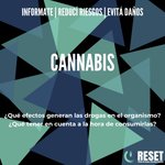 Image for the Tweet beginning: ⠀⠀
🌱CANNABIS
⠀⠀
💫Para estar atentxs estas fiestas