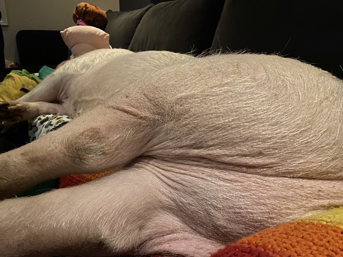 Current view.