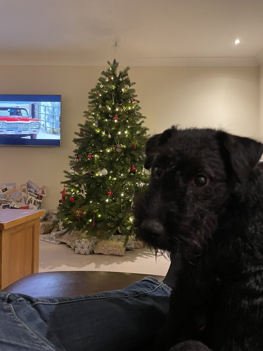 Alex Child tweet media