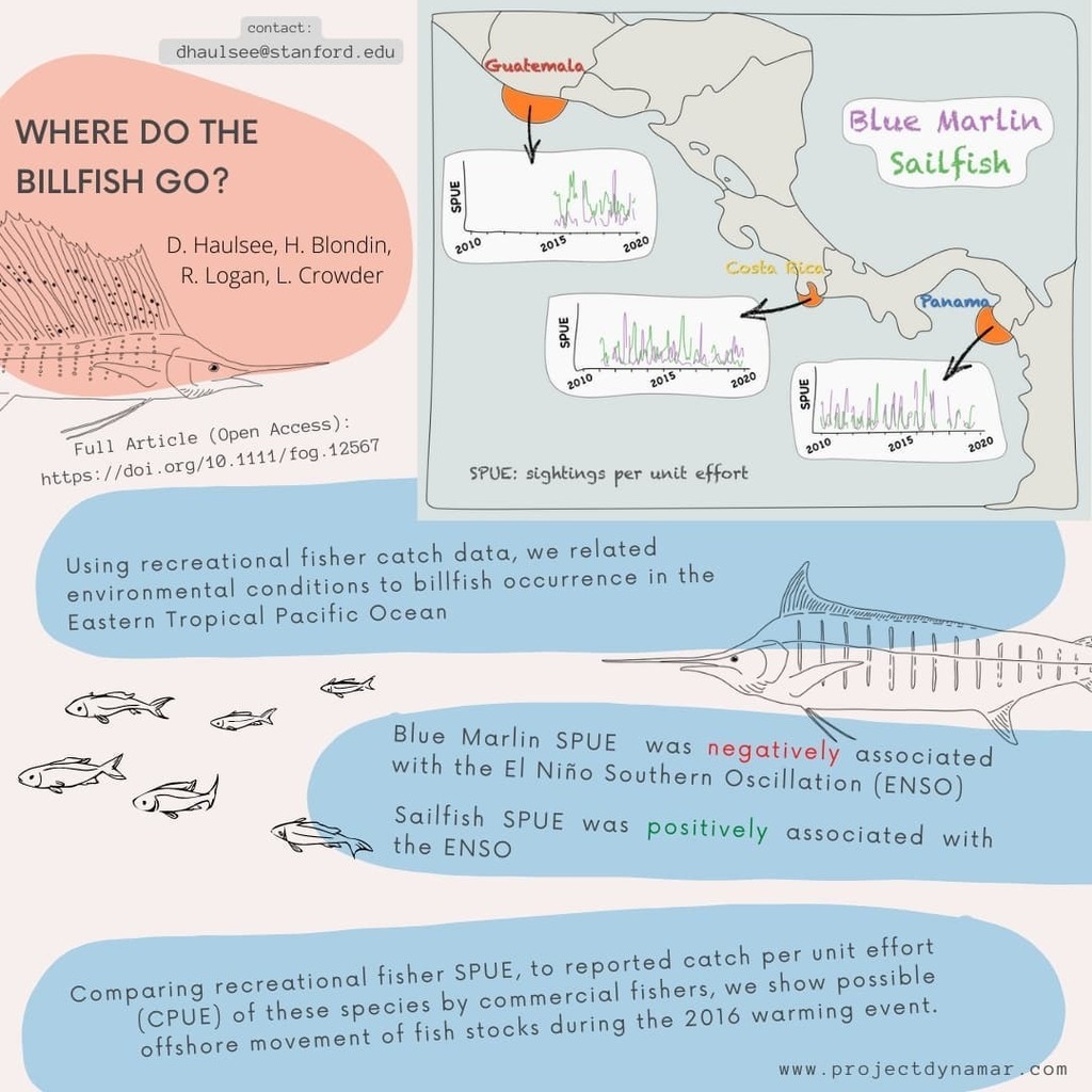 project_dynamar's tweet image. ✨New Paper Alert✨

Using fishing records collected by recreational sport fishing lodges in Central America for the last decade, we compared sightings of Blue Marlin and Sailfish to environmental conditions. 

Thanks to @casaviejalodge, @crocodilebay,… instagr.am/p/CXwndTHPaCE/