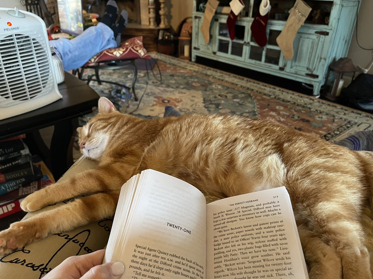 Pure bliss. A book, a cat and a space heater. One more work day before some much needed time off for a little R &amp; R. 🎄 📖 🐈
