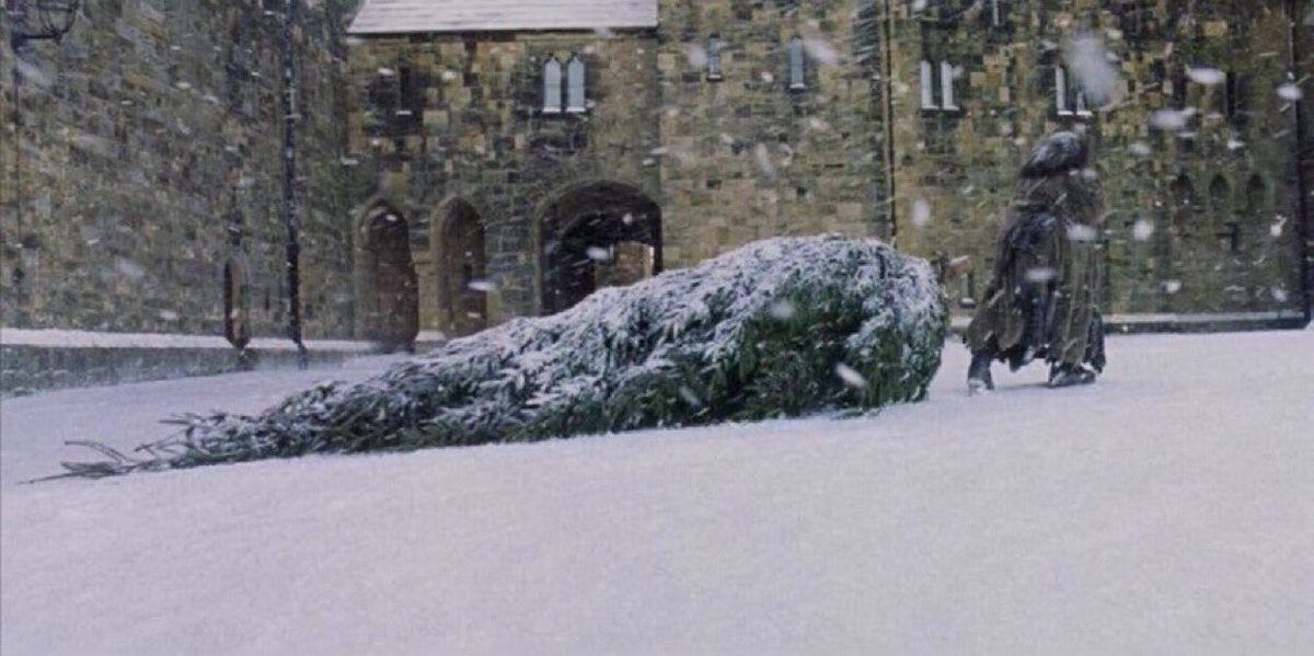 HPotterUniverse's tweet photo. December 21, 1991: Hagrid sets up the 12 Christmas trees in the Great Hall for the Christmas feast!

#ChristmasAtHogwarts https://t.co/RzPOlS3jpZ