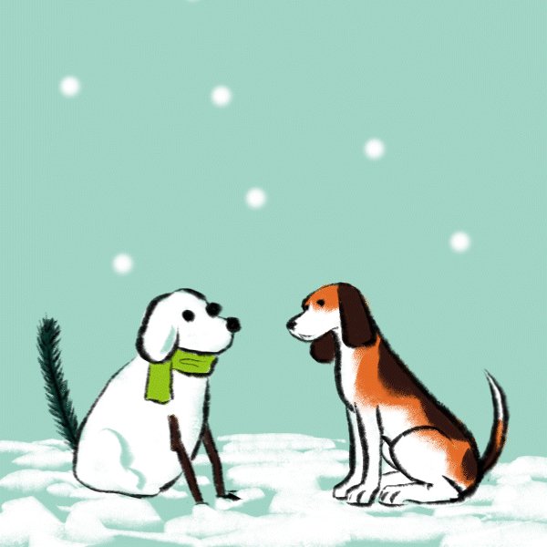 Standard Beagle tweet media