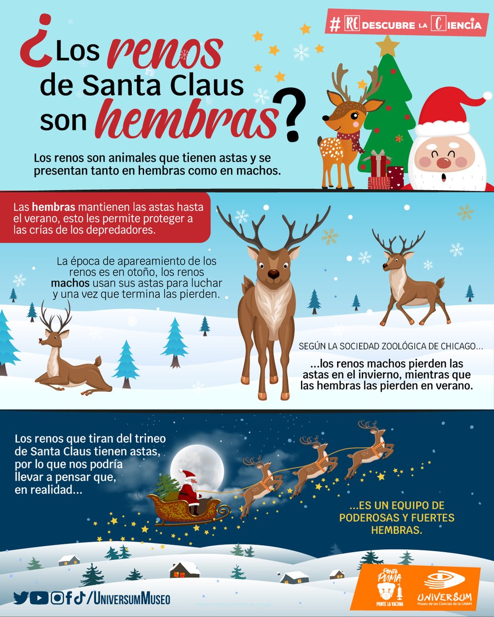 UniversumMuseo's tweet photo. Estamos familiarizados con la imagen navideña de un trineo jalado por renos, pero...
¿Te habías detenido a pensar en esto? 🧐 🦌

#RedescubreLaCiencia con #TuUniversum https://t.co/AkvTbFgoZJ