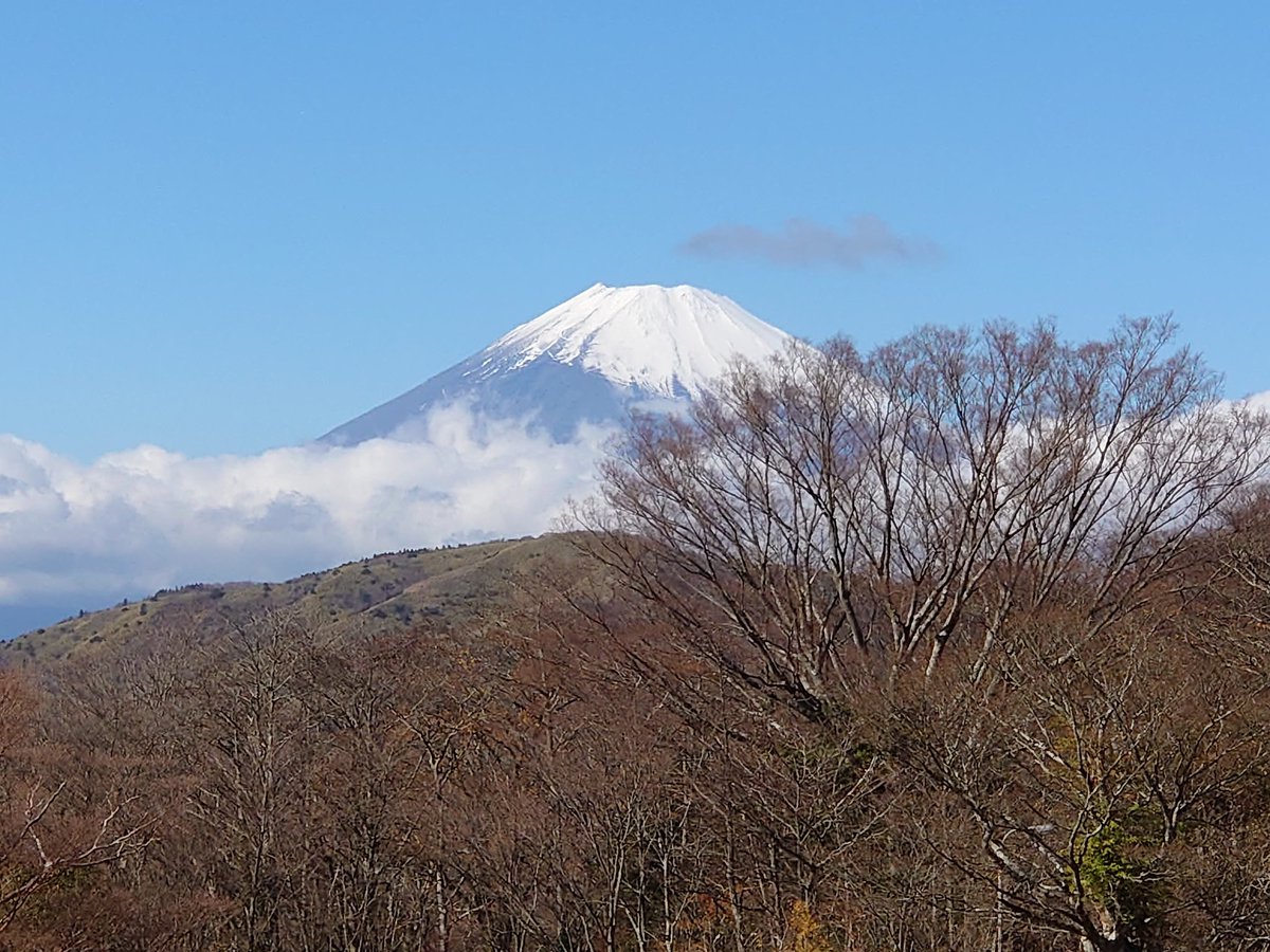 sumy231231's tweet photo. おはようございます😊
本日もよろしくお願いします😊 https://t.co/dsvNhmGM79