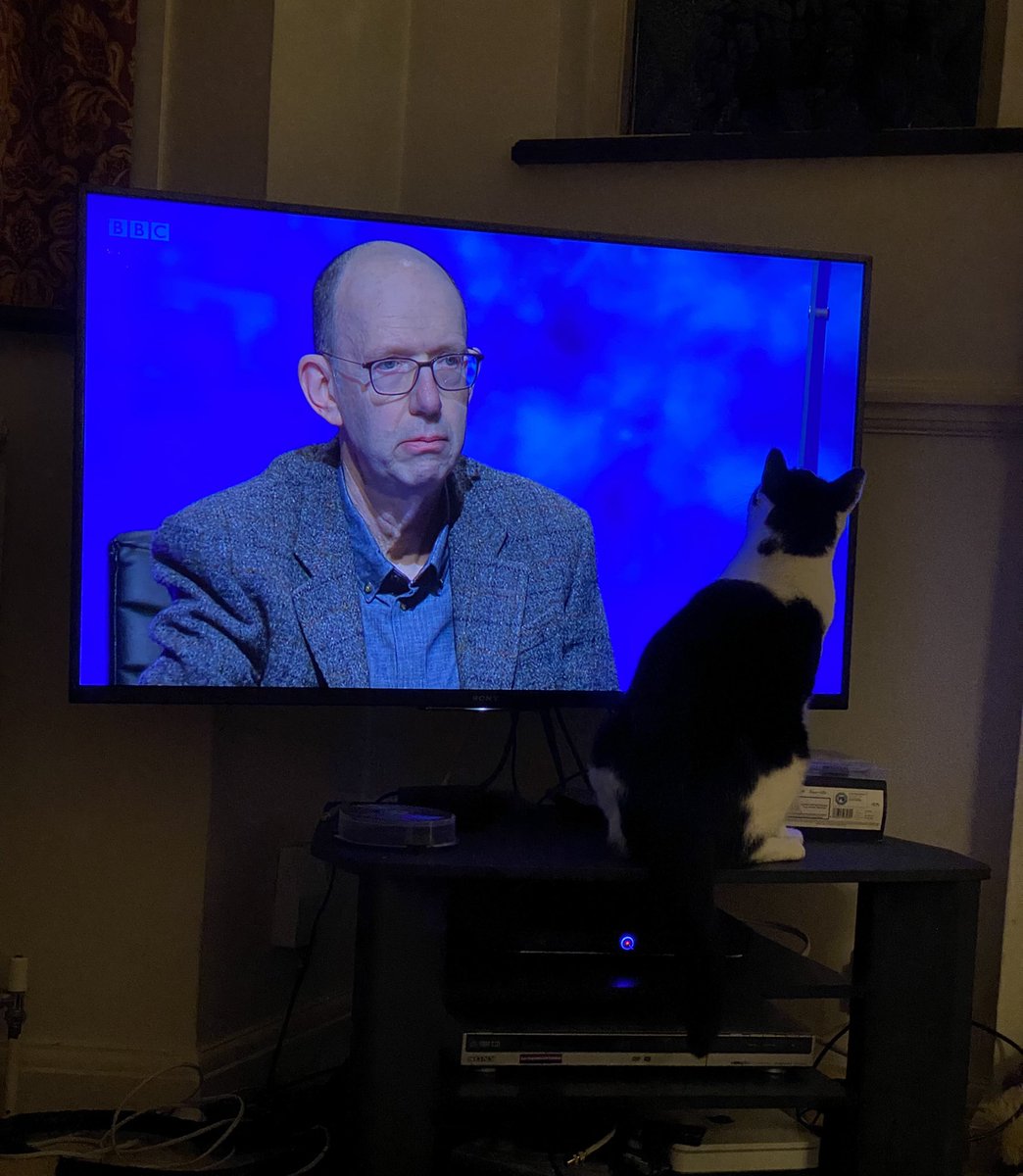 lisas0504's tweet photo. @CityUniLondon @BBCTwo Our cat Buzz enjoyed watching too. #SMCSE @garyschwartz https://t.co/8mJV2VUmGZ