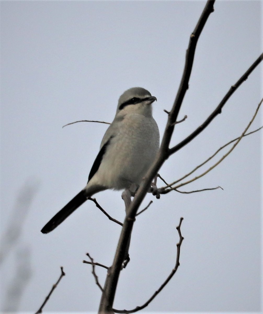 Bill Belford tweet media